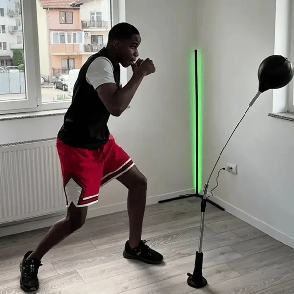 Premium Indoor Punching Bag